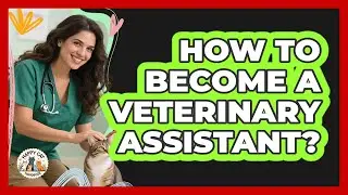 How To Become A Veterinary Assistant?