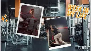 My daily gym workout routine 