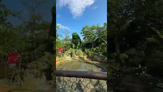 Moana Journey of Water #short #disneyparks #disneyworld #disney #moana #water #interactive #wdw