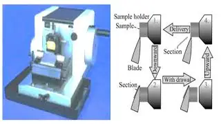 Microtome knives