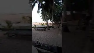Video of Hatta Bunga Low at Pulau hatta Island, banda islands indonesia