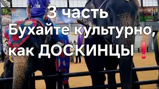 Бухайте культурно, как ДОСКИНЦЫ❗