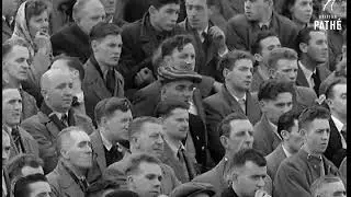 Northern Ireland 2 - 1 Scotland (08 October 1955)