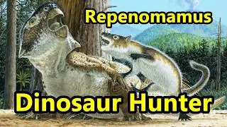 Repenomamus: The Mammalian Dinosaur Hunter