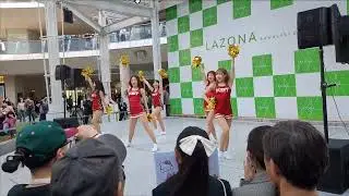 [4K] 川崎ブレイブサンダース　チアリーダー IRIS in lazona #2