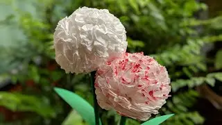 How To Make Round Tissue Paper Flower - DIY Paper Craft