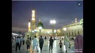 مجانين الهوى + ته الفكر والراي . المداح السيد عمار النعيمي