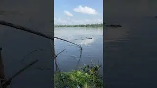 🎣 Fishing for LIFE in a Desi Village | A Day of Traditional Fishing in Rural Life 🌾 Village Ltd