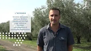 Agricoltori di Successo -  Azienda Agricola  F.lli Biancucci