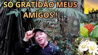 A Palavra De Hoje é gratidão a Deus,e a vocês todos meus amigos!