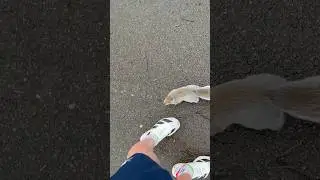 Manchester marathon prep week 4: speed session