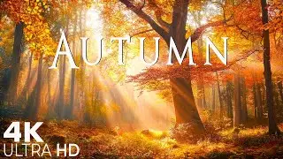 4K Cozy Autumn Scenes & Beautiful Relaxing Piano Music 🍂 Music For Deep Relaxation, Stress Relief
