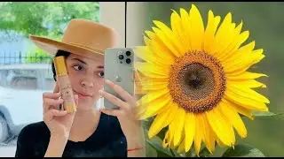 How does sunflower and grape seed oils protect from sun damage?
