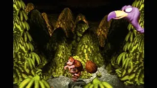 Donkey Kong Country: Necky's Revenge [1080 HD]