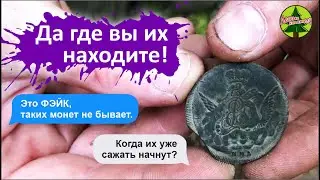 Редкая монета в лесной глуши / Лесные Копатели