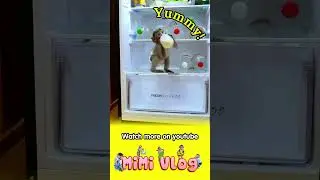 Baby monkey opens the refrigerator and drinks milk #shortsvideo #shortsviral #monkey