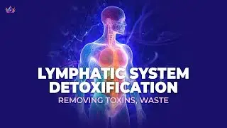 Lymphatic System Detoxification | Body's Immune System Booster | Removing Toxins, Waste | 741Hz