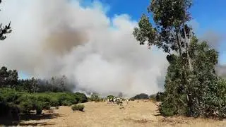 Wildfires in the U.S. and Financial News Update | Flashline News