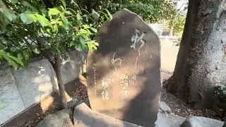 大国魂神社⛩️