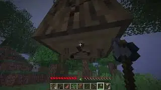 NUGGET SMP EP1:The start of a new world of nugget
