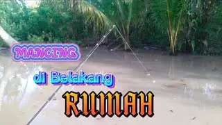 Mancing Ikan Duri di Belakang Rumah #FerdyEfan_Fishing