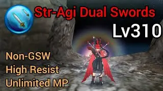 Str-Agi Dual Swords Lv310 Build | Toram Online