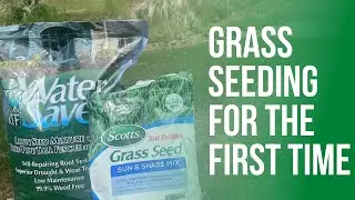 Planting Grass Seed for the First Time - Test Patch || Part 1