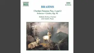 Clarinet Sonata in F Minor, Op. 120, No. 1: I. Allegro appassionato