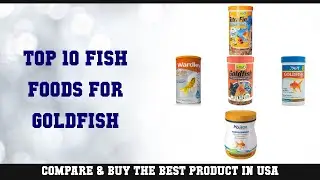 Top 10 Fish Foods For Goldfish to buy in USA 2021 | Price & Review