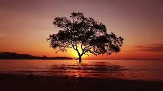 Everning at River sound #music #relaxing #shorts #travel #youtube #subscribe