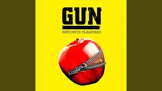 Favourite Pleasures