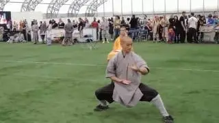 柔拳羅漢十三式 Shaolin Soft Fist 13 Louhan Rou Quan by Master Shi Heng Yi of Shaolin Temple Europe Germany