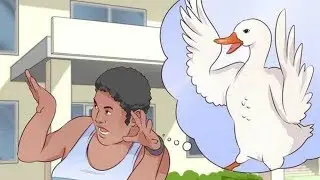 wikiHow be like