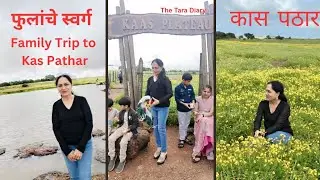 Kas Plateau Trip | साताऱ्याचं फूलांचं पठार | Family Travel Vlog | Kas Pathar Satara The Tara Diary 