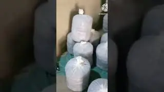 Mwikhun bags. Alainw som mwnthoakwi