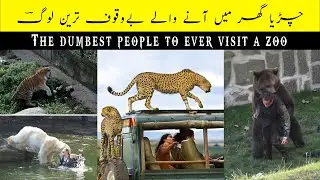 Some stupid people when they went to the zoo |Top Seven| کچھ احمق لوگ جب چڑیا گھر سیر کو گئے
