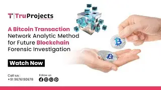 A Bitcoin Transaction Network Analytic Method for Future Blockchain Forensic Investigation