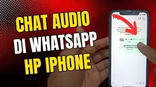 How to audio chat on WhatsApp iPhone