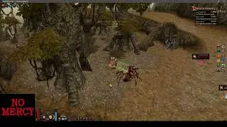 PVP NIGHT PRISTON TALE , DEPOIS DO BOSS É 🔥🔥🔥🔥🔥🔥🔥🔥