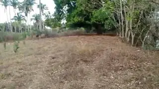 Ccvz vez ,  vz. Hvh BV,GC. j. N nbhhrv n v  ;