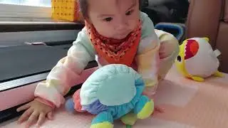 Baby development milestone