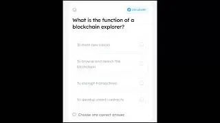 What is the function of a blockchain explorer?