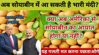 सोयाबीन तेजी मंदी रिपोर्ट। soybean teji Mandi report। आज का सोयाबीन भाव। soybean mandi bhav aaj ka।