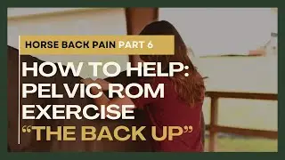 Horse Back Pain Part 6: How to Help: Pelvic ROM Exercise 