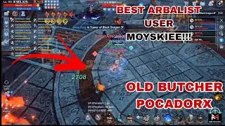 Mir4 THE BEST ARBALIST USER IN GLOBAL 🔥 BUTCHER X POCADORX SD & HOF VS DTM #mir4 #mir4global #nft
