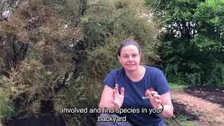 Backyard Species Discovery &ndash; a virtual, citizen science Bush Blitz - Subtitles