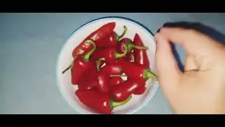 فوائد وأضرار الفلفل الحار ومجالات استعماله 