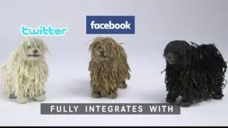 The Social Media Robot Dog (that looks like Zuck's Puli!)
