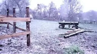 Весенний снег и Жу
