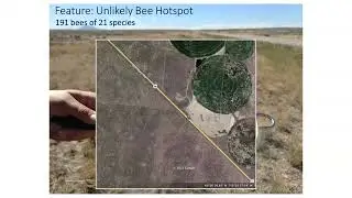 Case Study: Idaho Department of Transportation's Roadside Pollinator Habitat Suitability Study